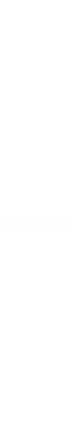 VEVACE logo